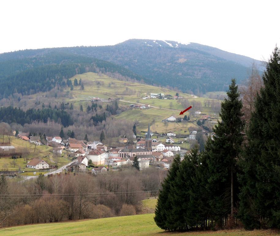 Les Hauts De Brochot Saint-Maurice-sur-Moselle Pokój zdjęcie